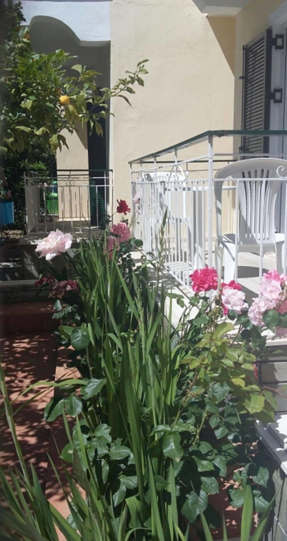 Elenas Garden Apartment Kavos Exterior photo